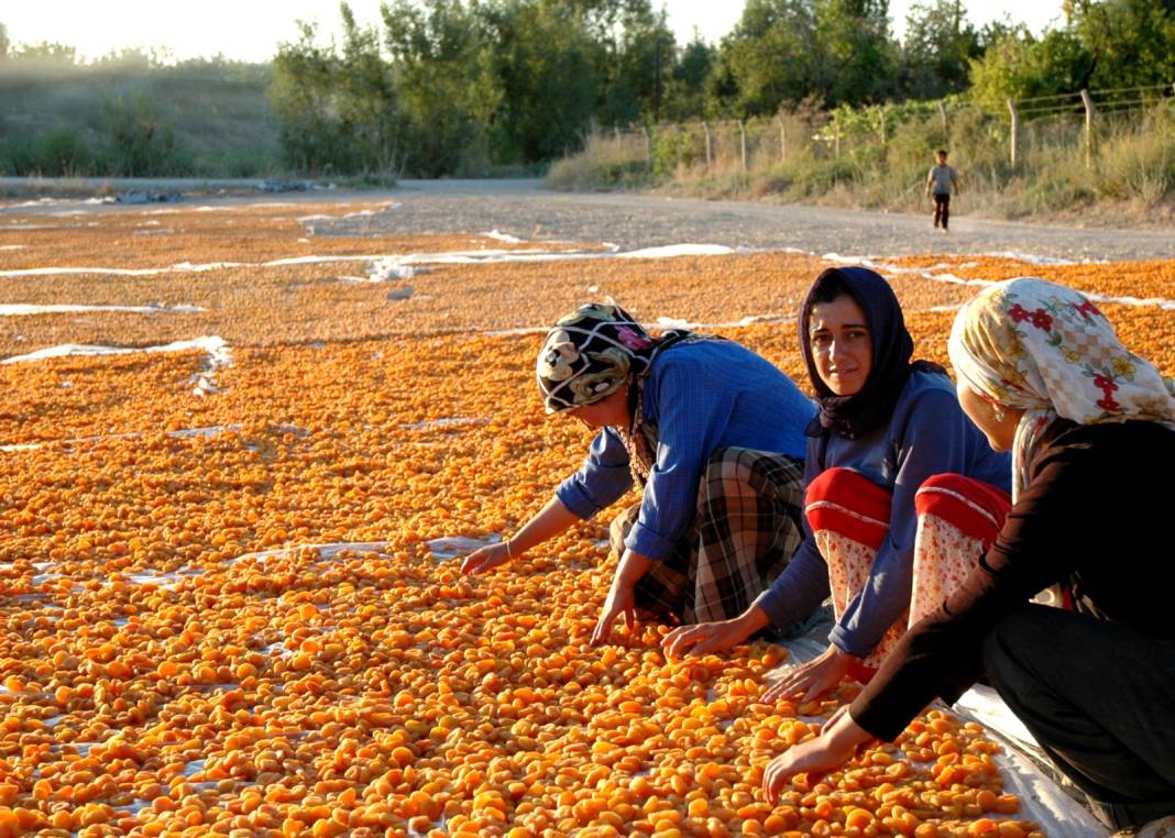 Bir kasa patikten 120-130 lira kazanıyorlar 4